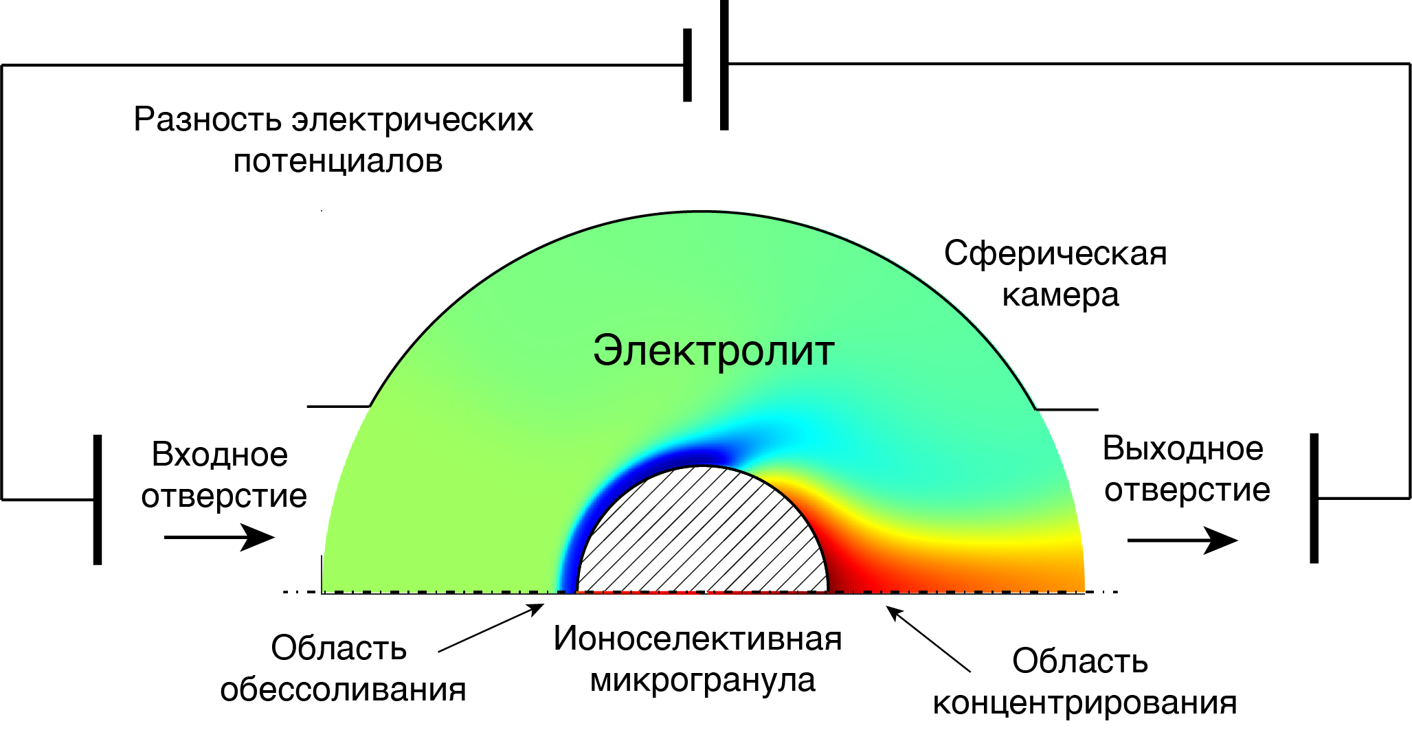 Концентрирование макромолекул и наночастиц в электролите около ионоселективной микрогранулы